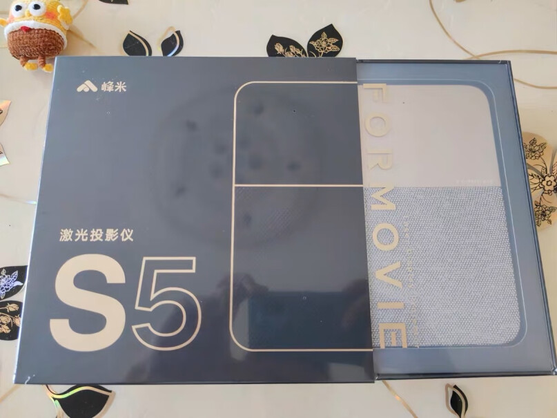 S5激光投影仪家用可以内置自行安装m2硬盘吗？