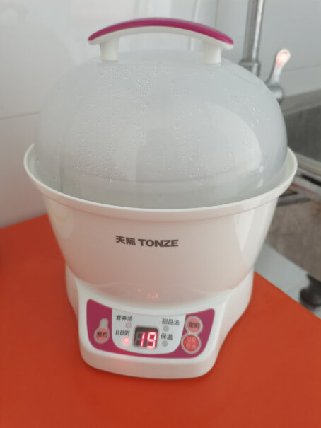 天际TONZE电炖锅电炖盅这个煮粥要炖多久？