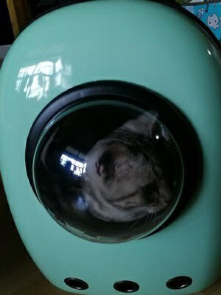 维利亚猫包宠物包外出便携透气猫咪双肩背包太空舱可以装多大的猫？