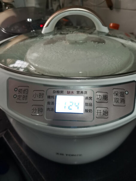 天际TONZE电炖锅3L大容量电炖盅煲汤要几个小时？