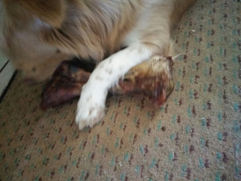 蒙贝狗零食香酥牛棒骨宠物零食狗狗磨牙棒洁齿耐咬牛骨成犬大型犬为什么我家狗狗看到它叫？好像很怕他的样子。
