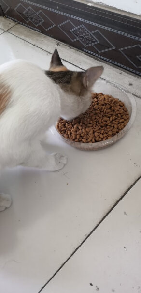 弗兰士猫粮只有我的猫吃了吐吗？