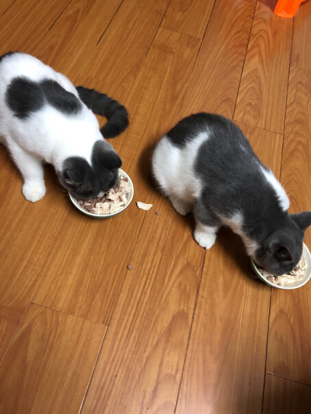 碳分子豆腐猫砂活性炭请问这款猫砂和松木猫砂相比，哪一种颗粒大？