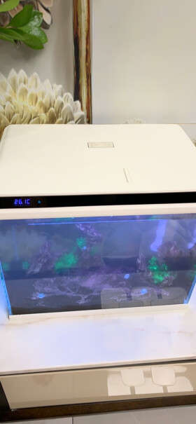 鱼缸-水族箱森森鱼缸水族箱鱼缸灯增氧水泵造景超白玻璃金鱼缸质量到底怎么样好不好,质量值得入手吗？