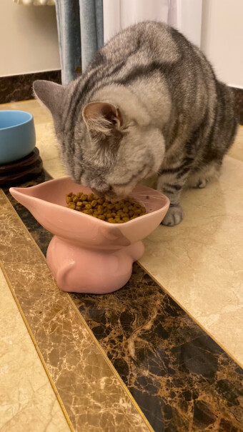 ROYALCANIN9个月的猫咪可以吃这个猫粮吧？