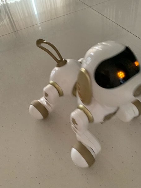 盈佳智能机器狗给机器狗充电有指示灯亮么？
