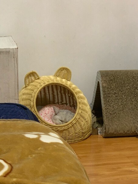 猫玩具田田猫宠物猫用品猫零食猫薄荷粉末猫草独立包装猫薄荷来看下质量评测怎么样吧！优缺点测评？
