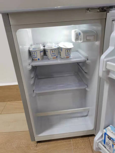 志高双门冰箱小型电冰箱想放点新鲜肉或者没吃完的菜进去，不知道放个两三天会臭吗？