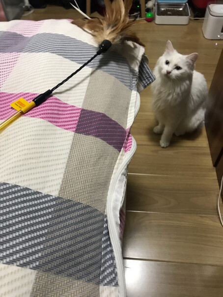 猫玩具田田猫钢丝杆花朵型羽毛鸡毛逗猫棒羽毛棒猫咪逗猫杆猫玩具猫用品性能评测,对比哪款性价比更高？