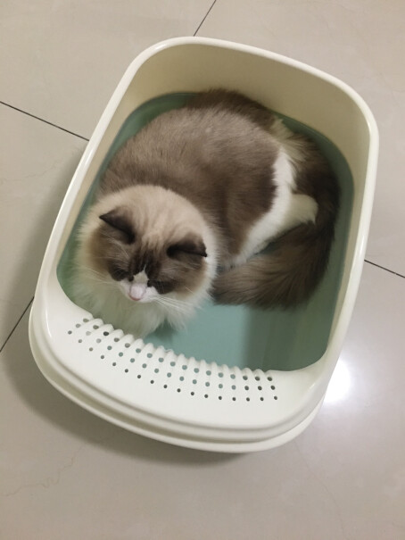 伊丽猫砂盆大号小号幼猫半封闭式猫厕所猫沙盆清新蓝好用吗，卡扣好扣不，会不会松？