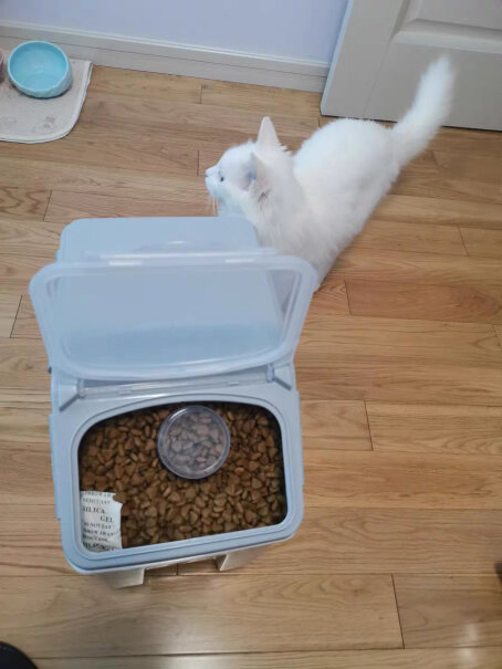 猫干粮ROYALCANIN只选对的不选贵的,分析应该怎么选择？