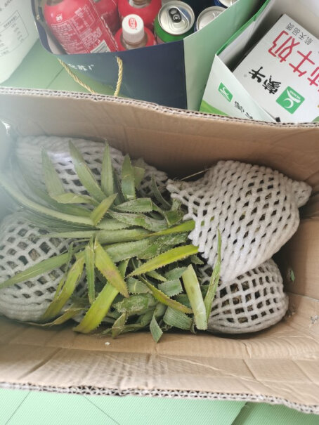 滇垦云垦优选菠萝-凤梨云垦优选国产北纬22°蜜香香水甜菠萝测评结果震惊你！哪个性价比高、质量更好？