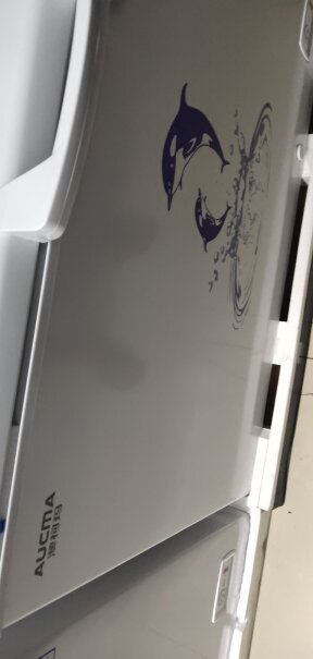 澳柯玛307升家用商用大容量冰柜商用雪糕大冰箱这款没有玻璃吗？