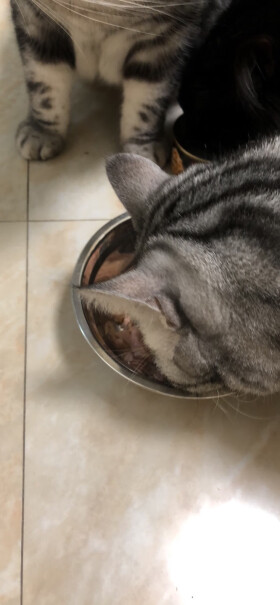 希宝宠物猫粮猫湿粮泰国进口猫罐头吞拿鱼海鲜汤汁系列85g日期新鲜吗？
