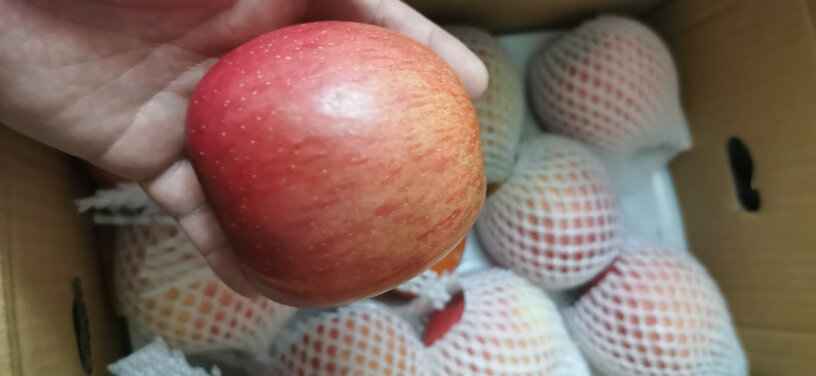 烟台红富士苹果5kg装有磕碰的痕迹吗？