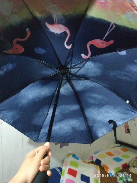 大号折叠黑胶晴雨伞男女遮阳伞防晒伞小黑伞太阳伞这个伞大吗？