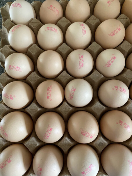 黄天鹅鸡蛋30轻食单枚50G+生食无菌天鹅爆料怎么样？使用后分享点评？