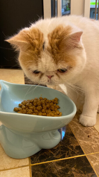ROYALCANIN每天喂多少合适？按说明喂猫会饿死吗？我家的3.4kg猫天天喂150-200g都能吃完啊！
