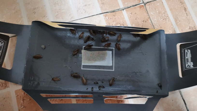 黑旋风蟑螂药家用蟑螂屋15个装看上去盒子很小，海南的大蟑螂能钻进去吗？