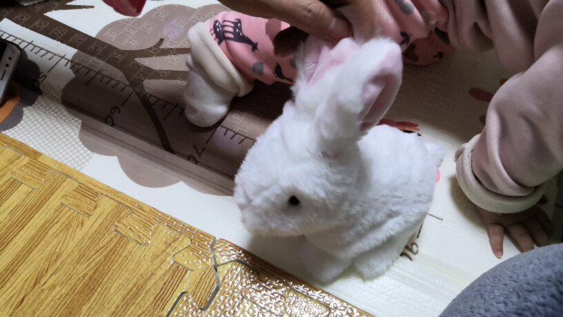 遥控动物乐吉儿儿童电动毛绒玩具小兔子究竟合不合格,评测值得买吗？