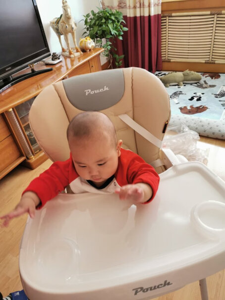 婴幼儿餐椅Pouch帛琦使用两个月反馈！评测质量怎么样！