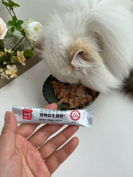 抱抱的礼物铁蛋白蔓越莓鲜猫条10g抱抱鸡肉礼物营养使用怎么样？优缺点大全！