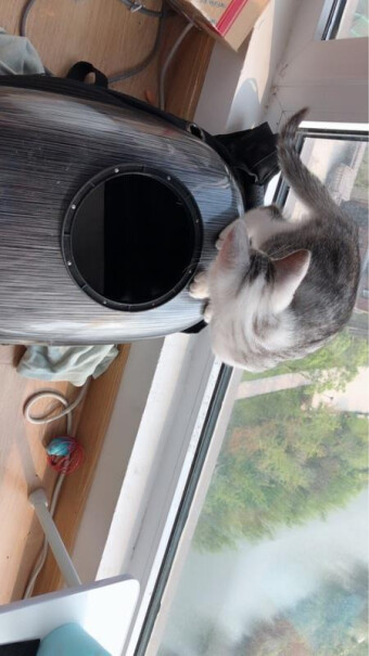 航空箱-便携包维利亚猫包宠物包外出便携透气猫咪双肩背包太空舱小白必看！好用吗？