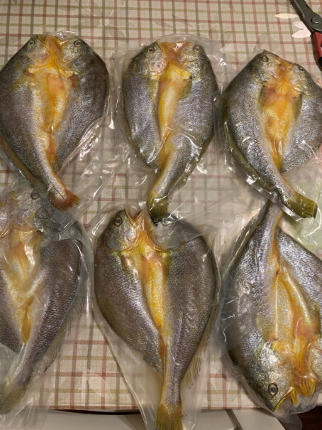 品珍鲜活 黄花鱼请问鱼够新鲜吗、份量足吗，会不会很小？