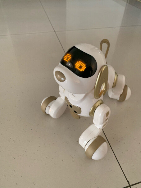盈佳智能机器狗给机器狗充电有指示灯亮么？