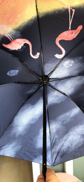大号折叠黑胶晴雨伞男女遮阳伞防晒伞小黑伞太阳伞伞的外面长啥样？？？？
