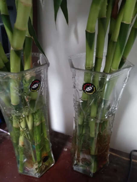花瓶花艺现代简约大号透明玻璃花瓶百合富贵竹水培装饰花器评测质量好吗,分析哪款更适合你？