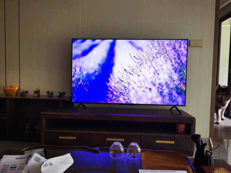 荣耀智慧屏X175英寸LOK-370我的55寸海信电视坏了，用的是挂架，买65寸荣耀能用的上吗？