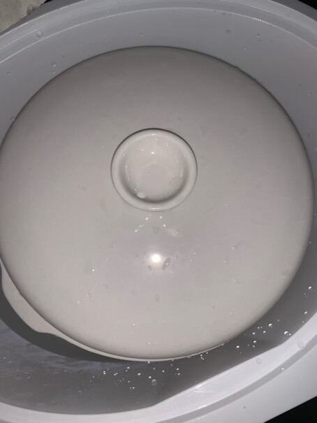天际TONZE电炖锅电炖盅陶瓷外面放水吗？