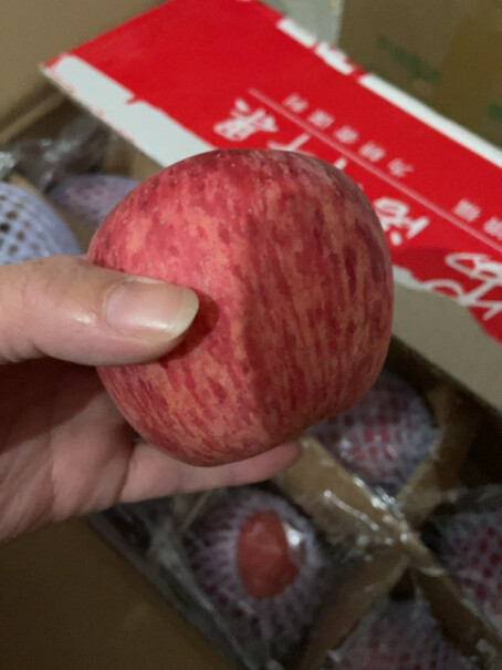 洛川苹果（luochuanapple）苹果陕西洛川的苹果新鲜红富士网友诚实不欺人！评测哪一款功能更强大？