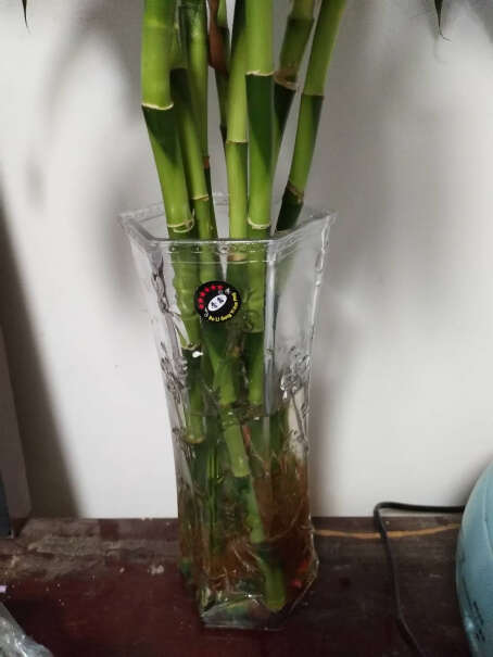 花瓶花艺现代简约大号透明玻璃花瓶百合富贵竹水培装饰花器评测质量好吗,分析哪款更适合你？