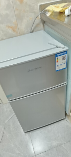 荣事达迷你冰箱小小型双门电冰箱家用宿舍冷冻冷藏节能冷冻水饺包子能放几袋？