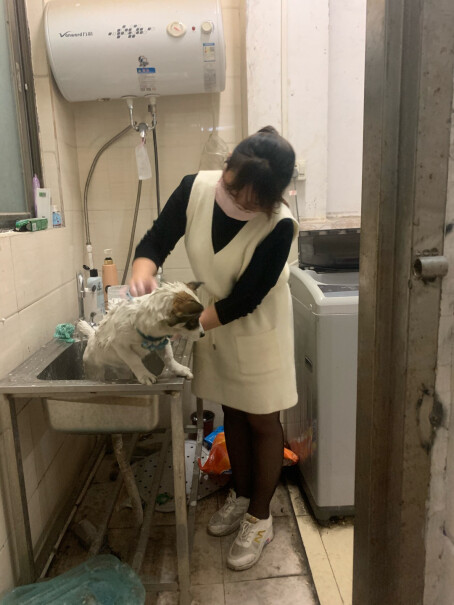 咖卡猫咪沐浴露宠物香波浴液洗澡宠物用品500ml3个月的哈士奇幼犬，用除螨的行吗？