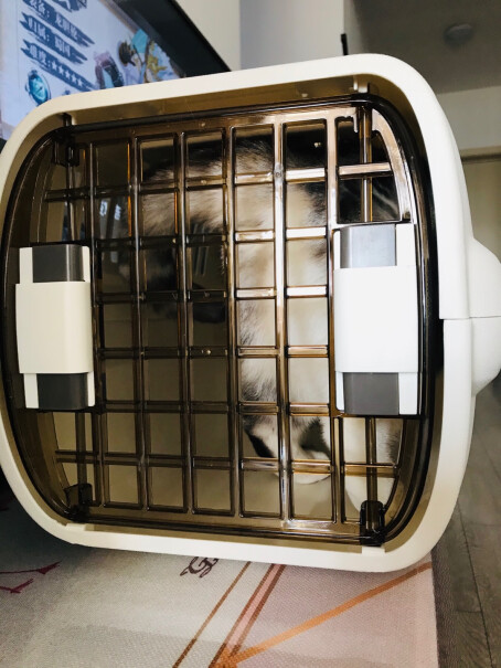 猫乐适猫咪航空箱外出手提便携式托运箱12斤比熊能装不？