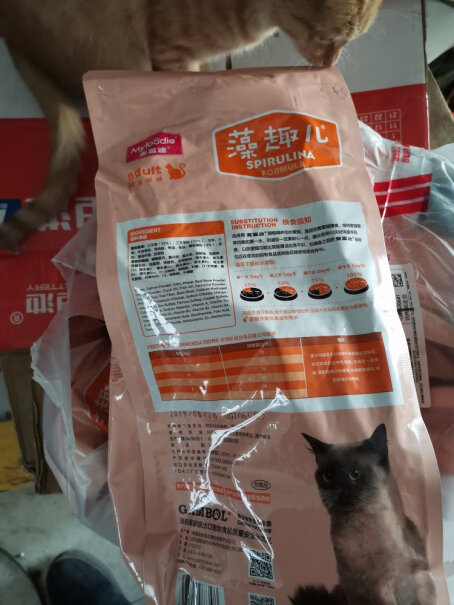 麦富迪猫粮之前食用的是幼猫的，换成猫粮需要过渡吗？