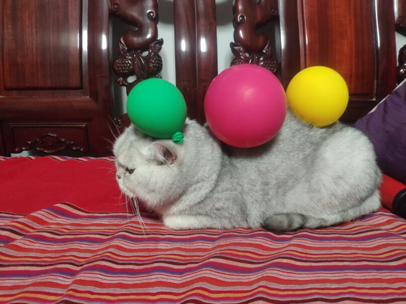 节庆饰品FOOJO彩色气球功能真的不好吗,使用良心测评分享。