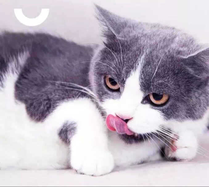 卫仕猫用化毛膏120g宠物成幼犬猫咪营养膏排除毛球补充营养3个月的猫咪可以吃吗？