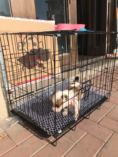 狗笼猫笼狗笼子小型犬中型犬泰迪比熊猫咪兔子用品是把尿垫放在笼子里，还是放在托盘上。