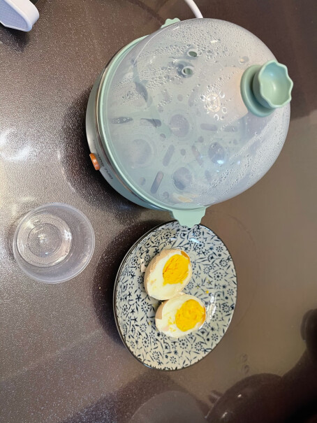 九阳煮蛋器蒸蛋器单层家用自动断电迷你鸡蛋羹蒸鸡蛋器蒸蛋机炖蛋器蒸蛋锅防干烧便携式这个质量怎么样？