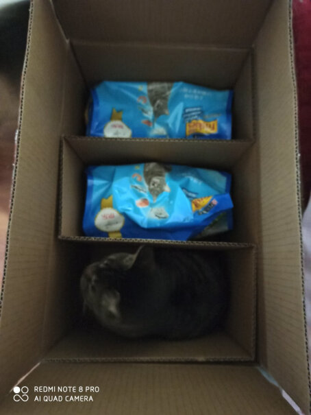 猫干粮喜跃Friskies成猫猫粮10kg海鲜味好用吗？冰箱评测质量怎么样！