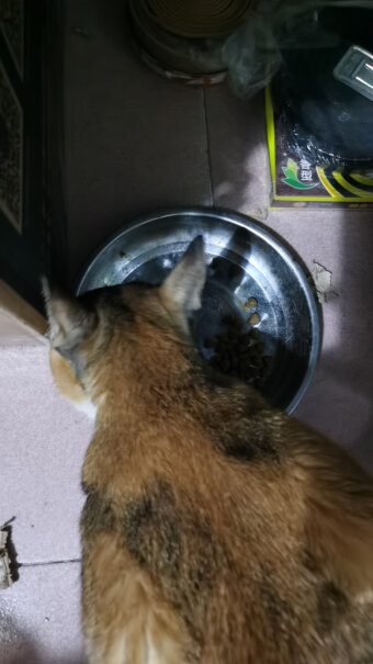 华畜猫砂盆全封闭式防外溅猫厕所猫砂盆特大号封闭式猫沙盆自动这个是大号的猫砂盆吗？