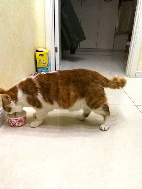 猫零食麦富迪猫湿粮包拌饭营养猫零食质量不好吗,质量靠谱吗？
