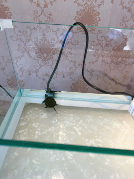 爬宠用品森森乌龟缸带晒台家用桌面水陆鱼缸高清玻璃鱼缸龟缸一体质量到底怎么样好不好,深度剖析测评质量好不好！