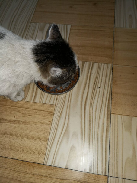 好主人猫粮室内天然粮5斤猫吃这个会不会流眼泪？