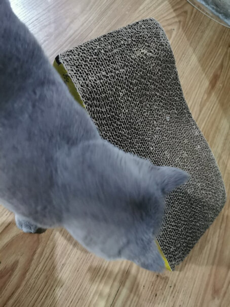 迪熊先生宠物猫抓板波浪的好用还是直板的好用？