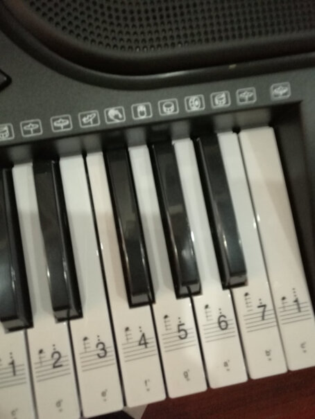 美科MK-97561键钢琴键多功能智能电子琴儿童初学乐器是力度键吗？